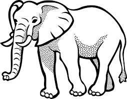 Drawing of an elephant leadership